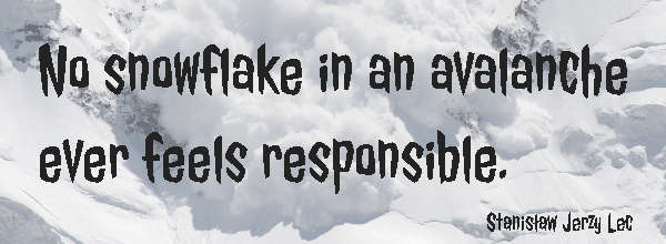 Teamwork Quote: No snowflake in an avalanche ever feels responsible