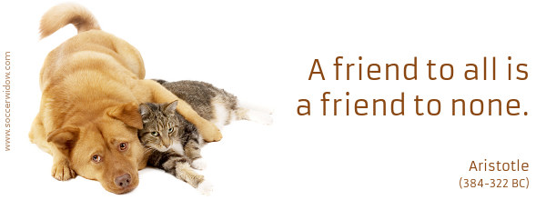 Friendship Quote: A friend to all is a friend to none - Aristotle