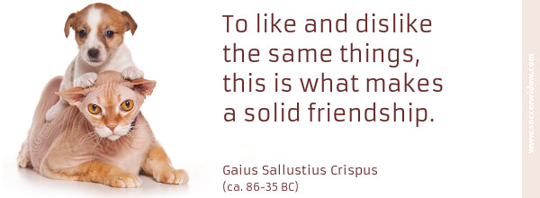 Friendship Quote: To like and dislike the same things, this is what makes a solid friendship - Gaius Sallustius Crispus